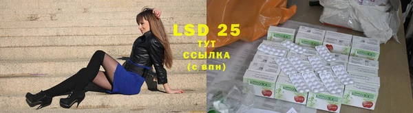 хмурый Верея