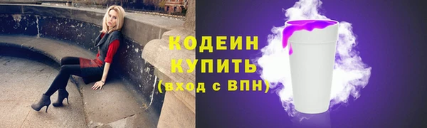 соль ск Бородино