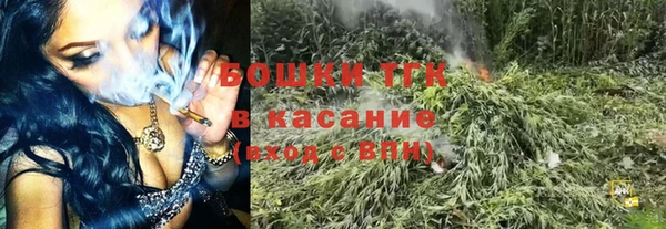 соль ск Бородино
