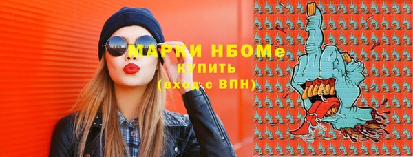 соль ск Бородино