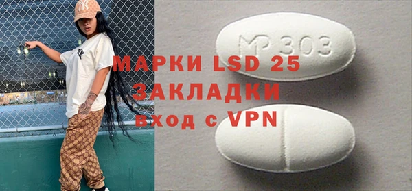хмурый Верея