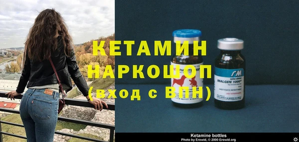 хмурый Верея