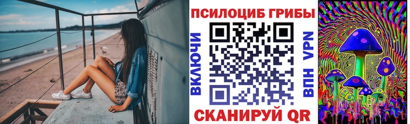 Псилоцибиновые грибы мухоморы  гидра ссылки  Улан-Удэ 